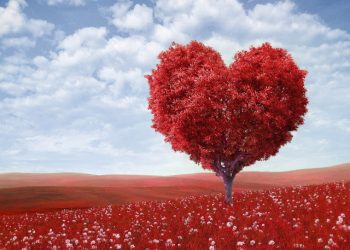 Fantasy heart shaped tree birthday card