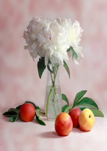 White flowers in vase surrounded by apples birthday card