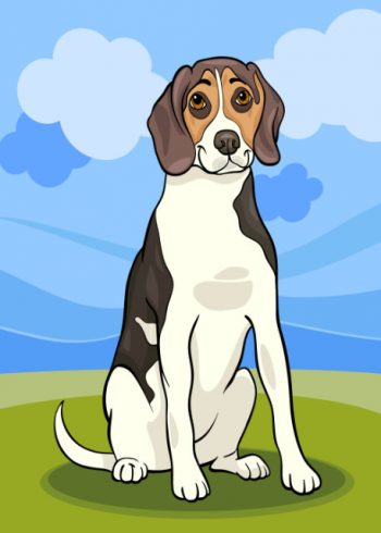 Dog with vibrant landscape background birthday card