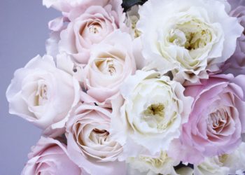 Female Birthday