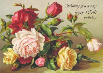 Adult Female Numbered Cards