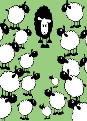 Black sheep with white sheep on green background blank card