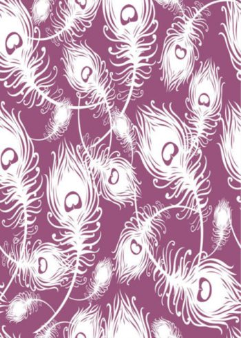 White feathers with purple background blank card