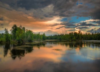 Clouds reflecting in water and forest birthday card