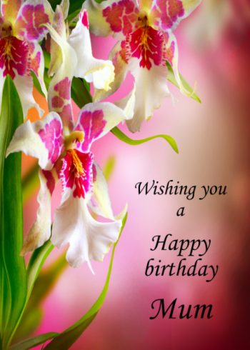 Beautiful white and pink orchids Mum birthday card