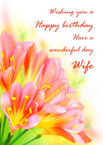 Beautiful flowers Wife birthday card