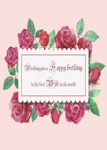 Pink and red roses Wife birthday card