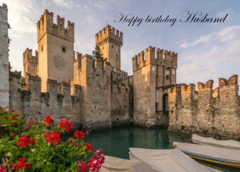 8364 - 13 century Scaligero Castle, Italy Husband birthday card