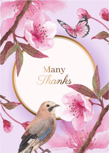Colourful bird butterfly and flowers Thank you card